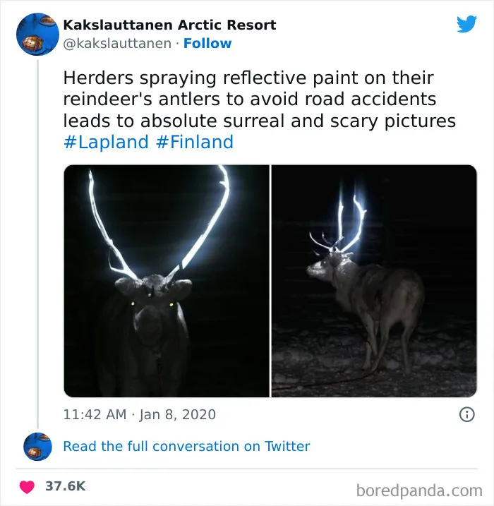 I Don’t Know If I’d Be Delighted Or Scared Sh*tless