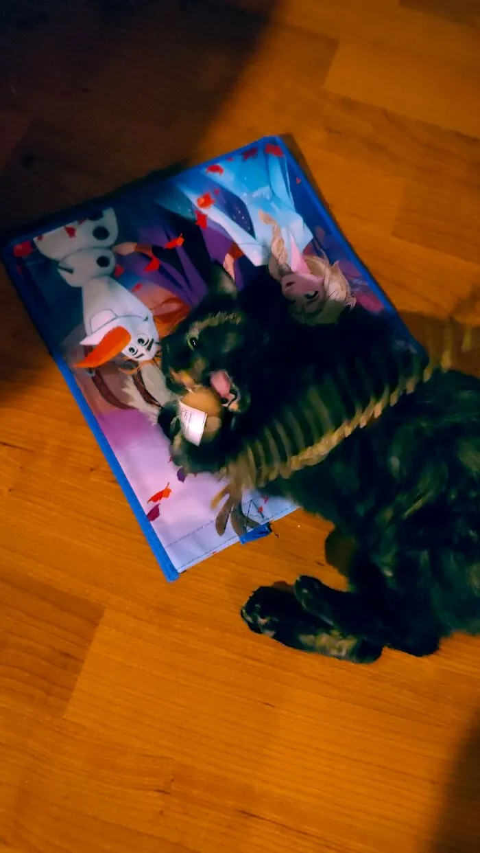 Cinder Chomps!