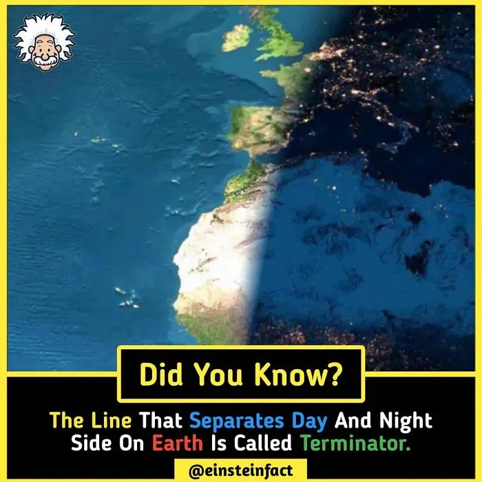 "Did You Know?": 30 Interesting Facts About The World You Probably Didn't Learn At School