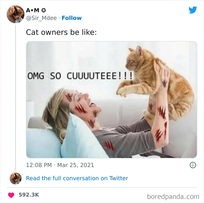 50 Of The Most Hilarious Cat Tweets Ever (New Pics)