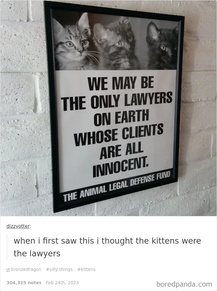 ‘Dank Law Memes’: 30 Memes That Reveal The Humor And Realities Of Legal Practice