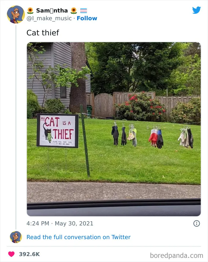 50 Of The Most Hilarious Cat Tweets Ever (New Pics)