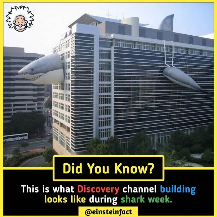 "Did You Know?": 30 Interesting Facts About The World You Probably Didn't Learn At School