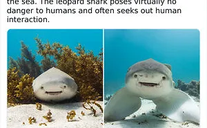 50 Random Facts That Sound Strange But Are True, As Shared By This Twitter Account (New Pics)