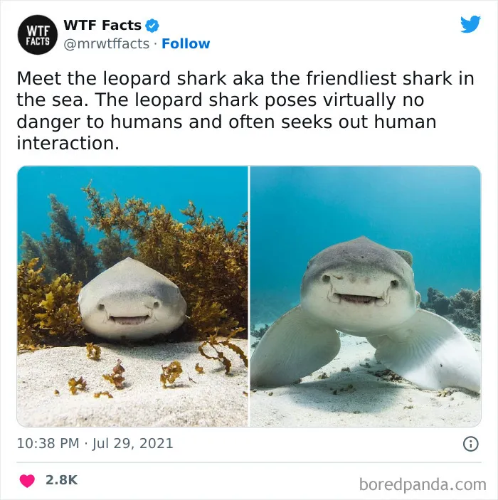 50 Random Facts That Sound Strange But Are True, As Shared By This Twitter Account (New Pics)