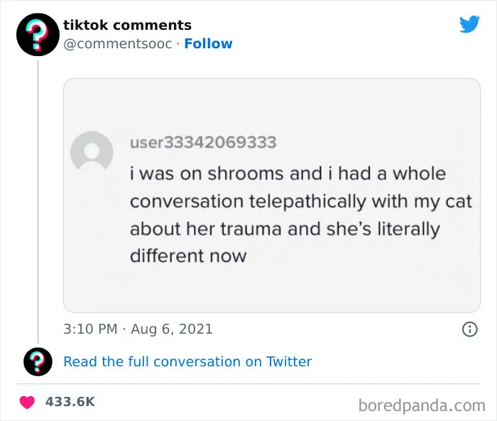 50 Weird, Funny, And Totally Unhinged TikTok Comments That Made Their Way To This Twitter Page