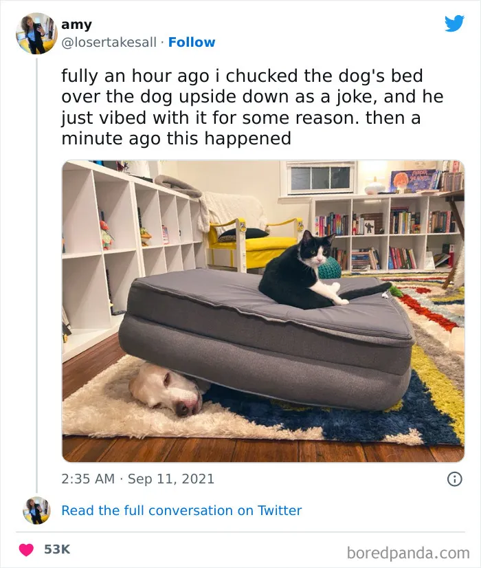 They're Just Chilling
