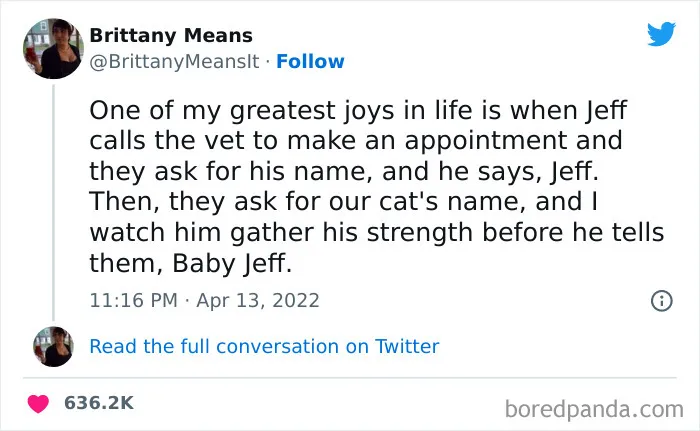 50 Hilarious Cat Names That Crack Vets Up Every Time