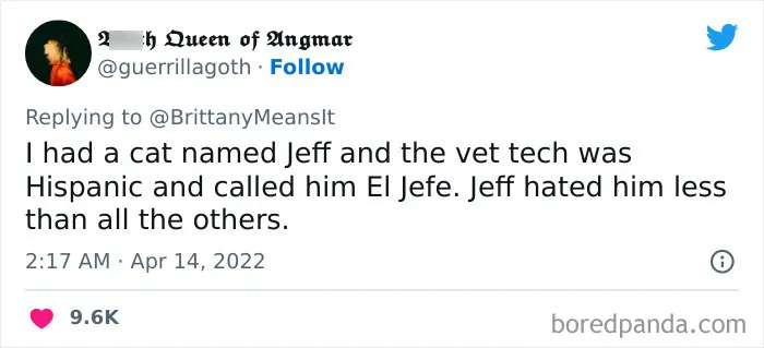 50 Hilarious Cat Names That Crack Vets Up Every Time