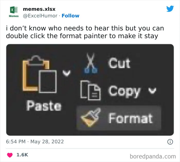 Excel meme showing a tip to double-click the format painter for extended use, with icons for Cut, Copy, Paste, Format.