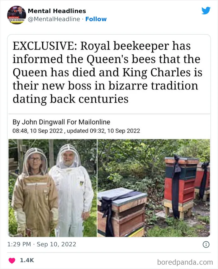 50 ‘Mental Headlines’ That Made People Wonder What The Hell Happened There (New Pics)