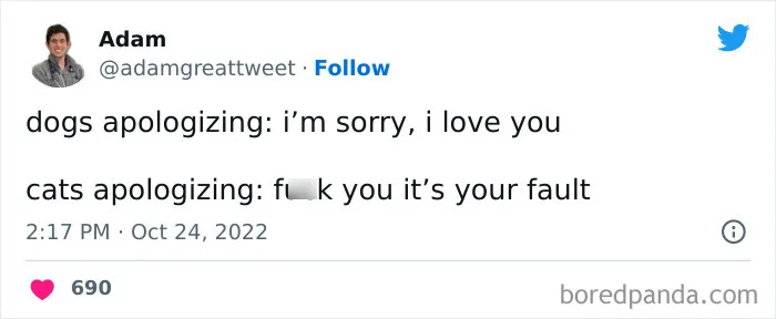 50 Of The Most Hilarious Cat Tweets Ever (New Pics)