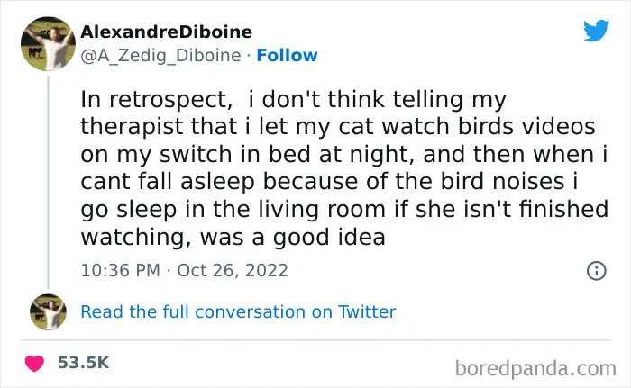 50 Of The Most Hilarious Cat Tweets Ever (New Pics)