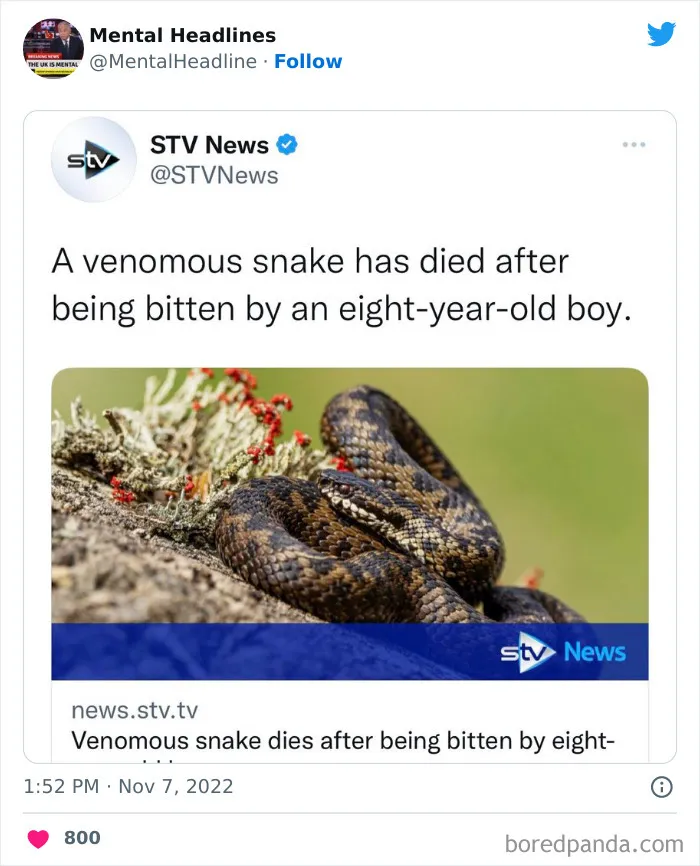 50 ‘Mental Headlines’ That Made People Wonder What The Hell Happened There (New Pics)