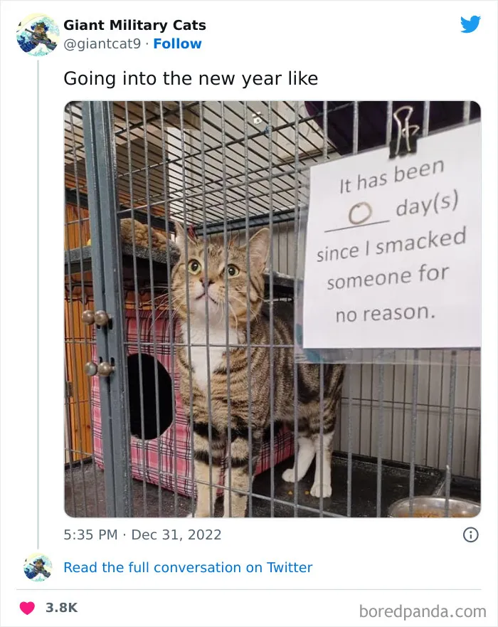 50 Of The Most Hilarious Cat Tweets Ever (New Pics)