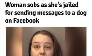 50 ‘Mental Headlines’ That Made People Wonder What The Hell Happened There (New Pics)