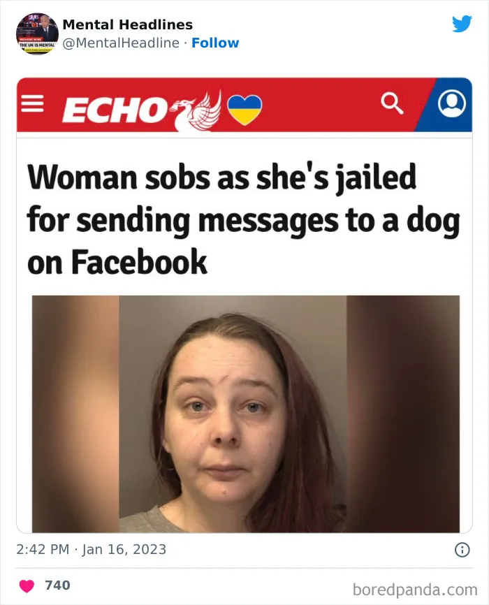 50 ‘Mental Headlines’ That Made People Wonder What The Hell Happened There (New Pics)