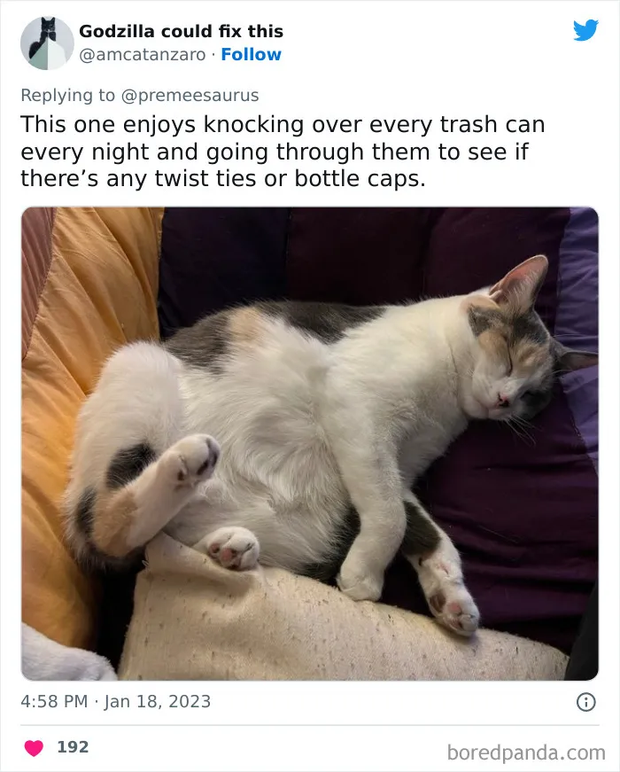30 Hilarious Cases Of Cats Being Total Criminals And Causing Havoc In Their Loving Homes