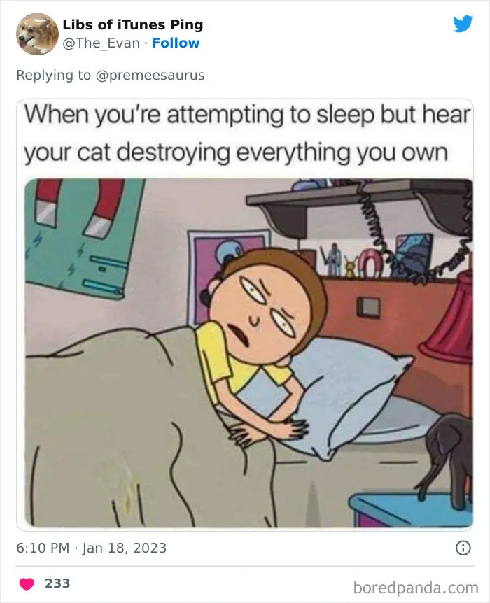30 Hilarious Cases Of Cats Being Total Criminals And Causing Havoc In Their Loving Homes
