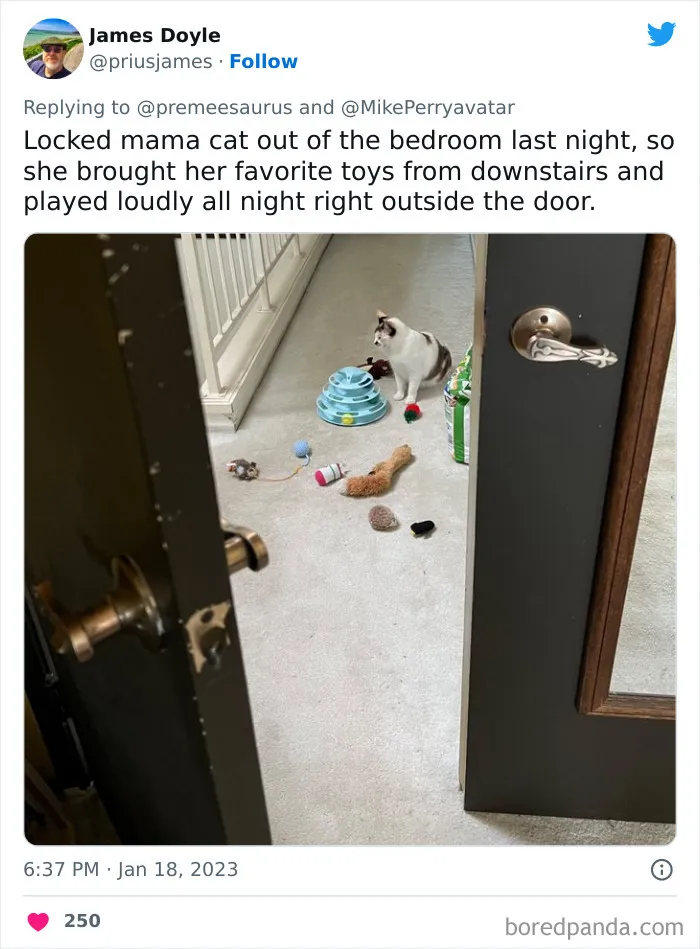30 Hilarious Cases Of Cats Being Total Criminals And Causing Havoc In Their Loving Homes