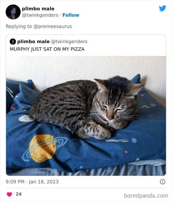 30 Hilarious Cases Of Cats Being Total Criminals And Causing Havoc In Their Loving Homes