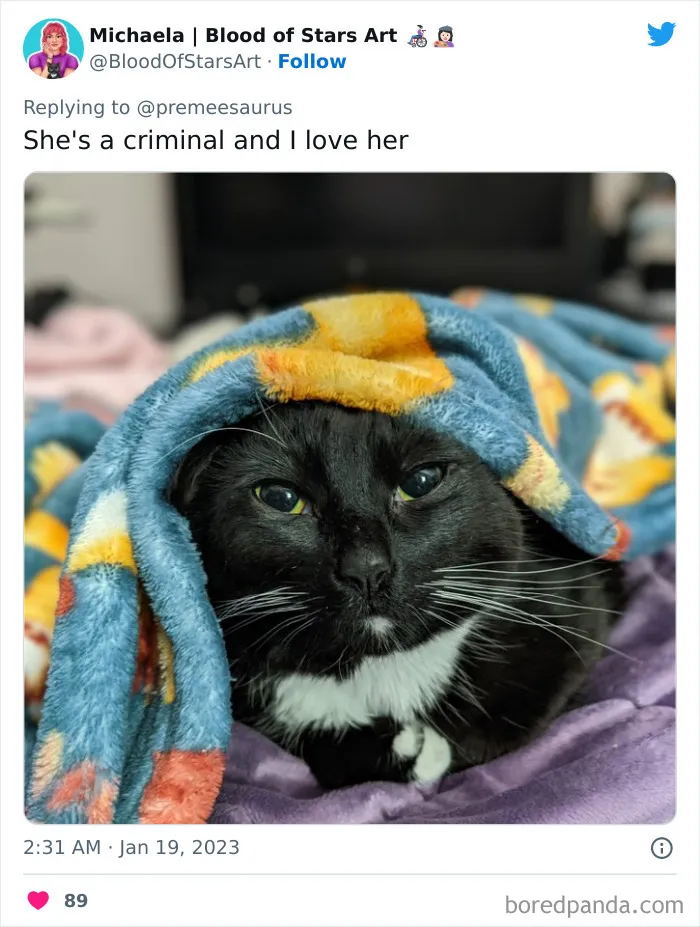 30 Hilarious Cases Of Cats Being Total Criminals And Causing Havoc In Their Loving Homes