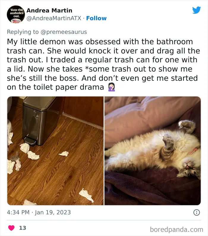 30 Hilarious Cases Of Cats Being Total Criminals And Causing Havoc In Their Loving Homes