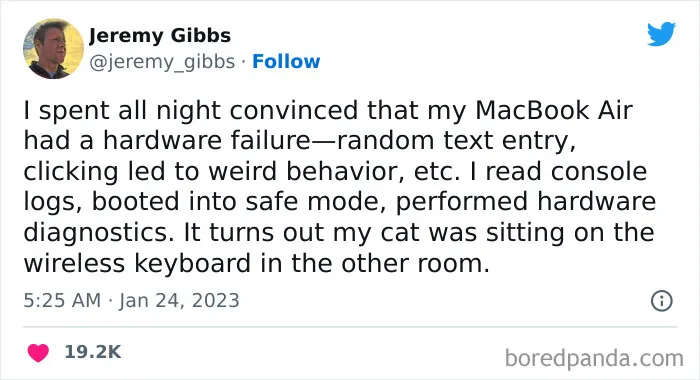 50 Of The Most Hilarious Cat Tweets Ever (New Pics)