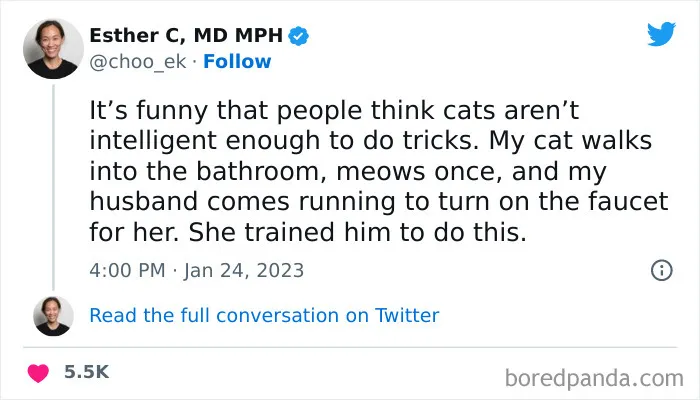 50 Of The Most Hilarious Cat Tweets Ever (New Pics)