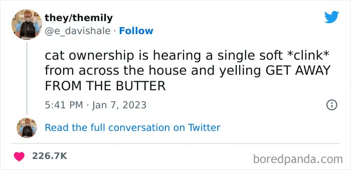 50 Of The Most Hilarious Cat Tweets Ever (New Pics)