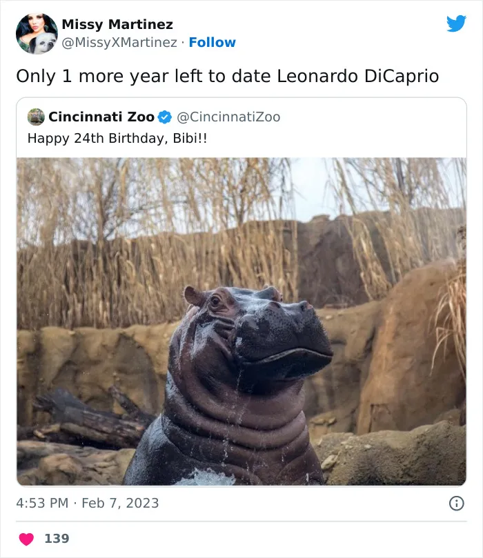 Leonardo DiCaprio Is Allegedly Dating A 19 Y.O. Model, And Netizens Are Roasting Him With Memes (35 Posts)