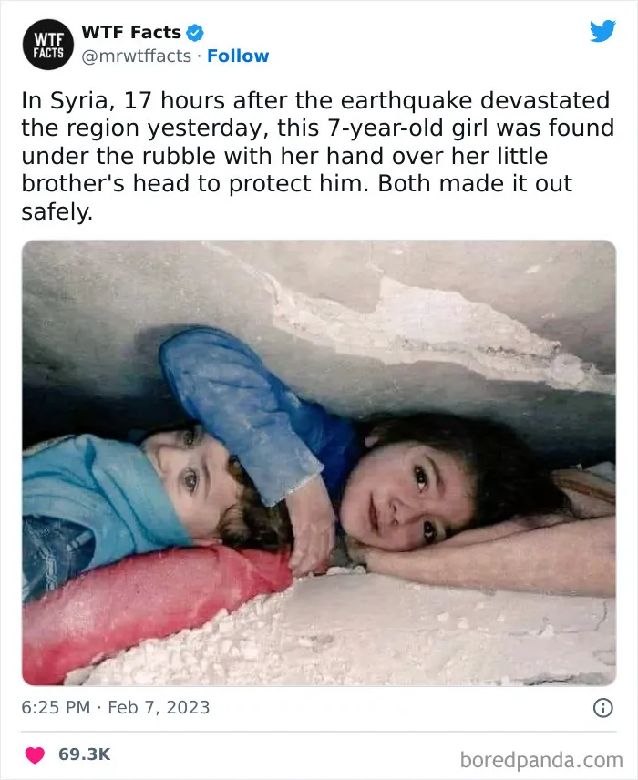 50 Random Facts That Sound Strange But Are True, As Shared By This Twitter Account (New Pics)