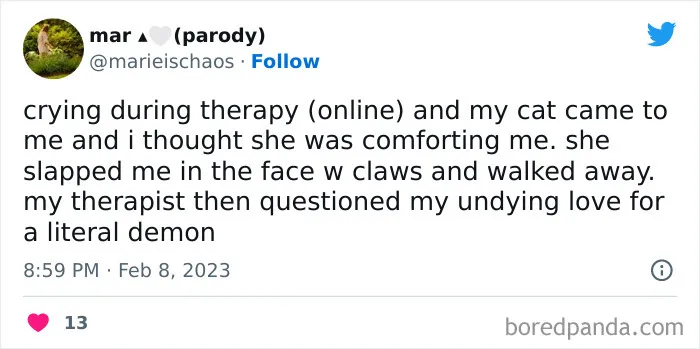 90 Funny Tweets About Therapy That Look At The Bright Side Of It