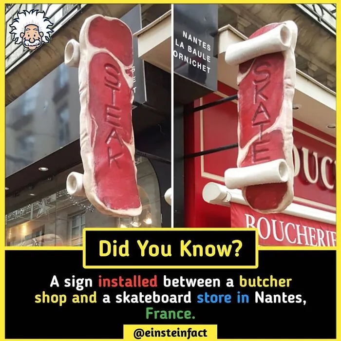 "Did You Know?": 30 Interesting Facts About The World You Probably Didn't Learn At School
