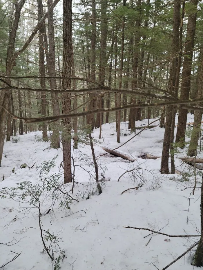 New Brunswick, Canada. A Little Brisk