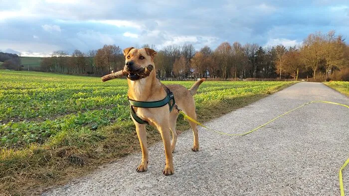 Lucy's Big Catch