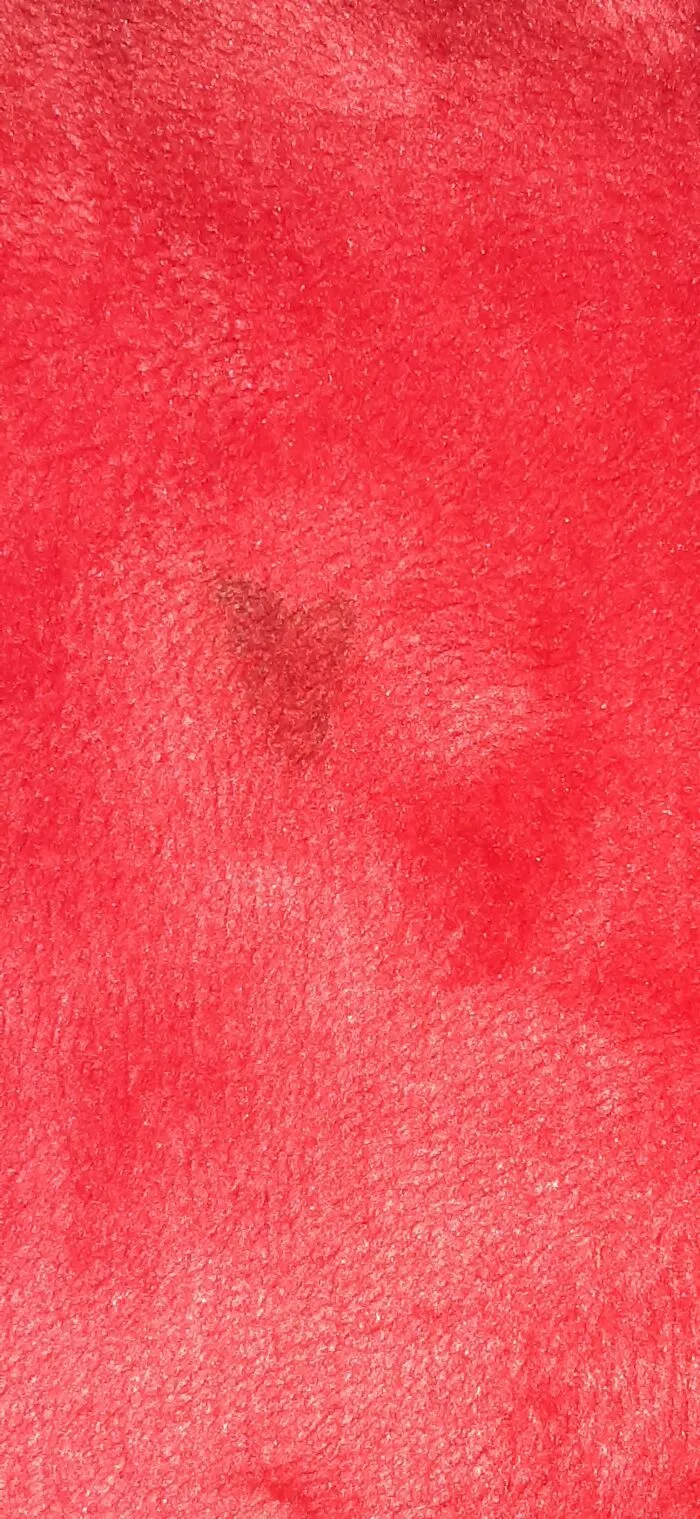 Heart Shaped Stain On My Blanket