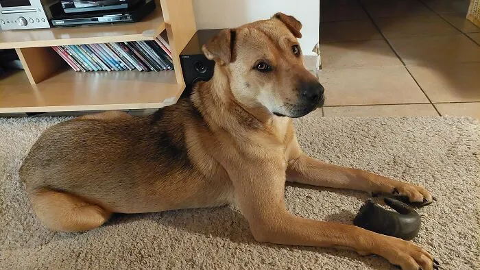 This Beautiful Girl Makes Every Day So Much Better
