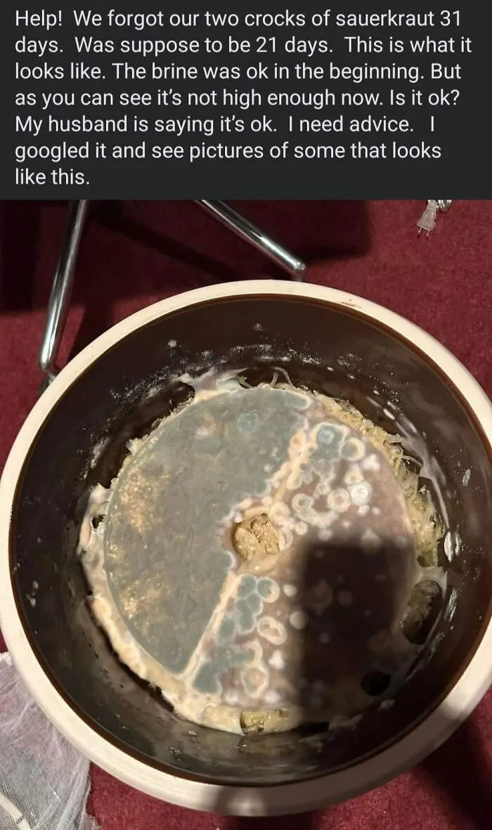 The "This Is Why I Don't Do Potlucks" Facebook Group Shares The Worst Dishes Someone Had The Audacity To Serve (40 New Pics)