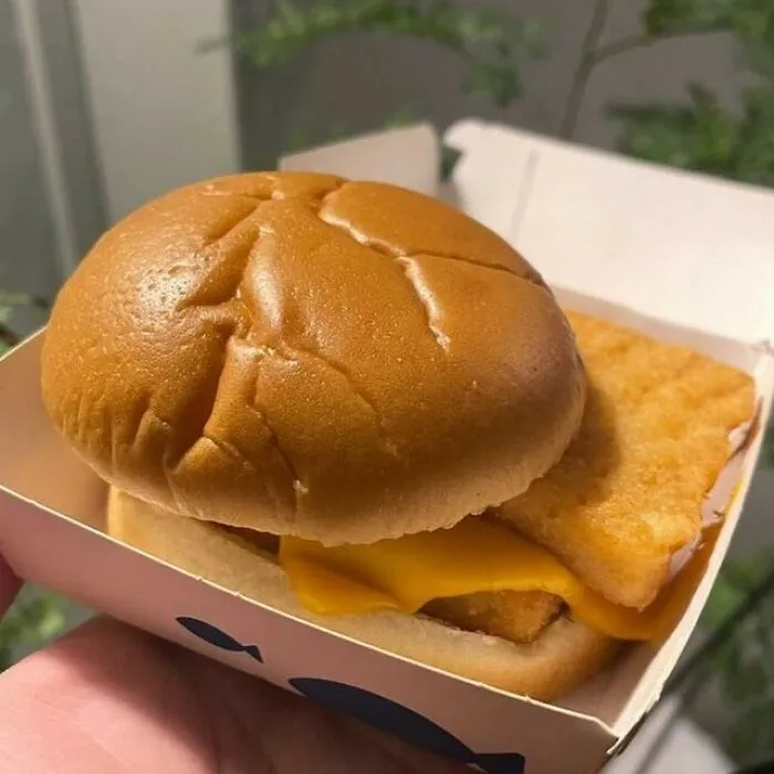 30 "Sad Meals" From McDonald's Collected By This Instagram Account (New Pics)