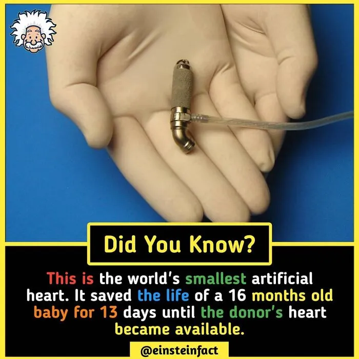 "Did You Know?": 30 Interesting Facts About The World You Probably Didn't Learn At School