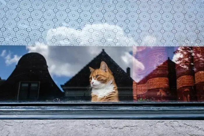 Este fotógrafo belga capta escenas divertidas y extraordinarias de la vida cotidiana (30 fotos nuevas)