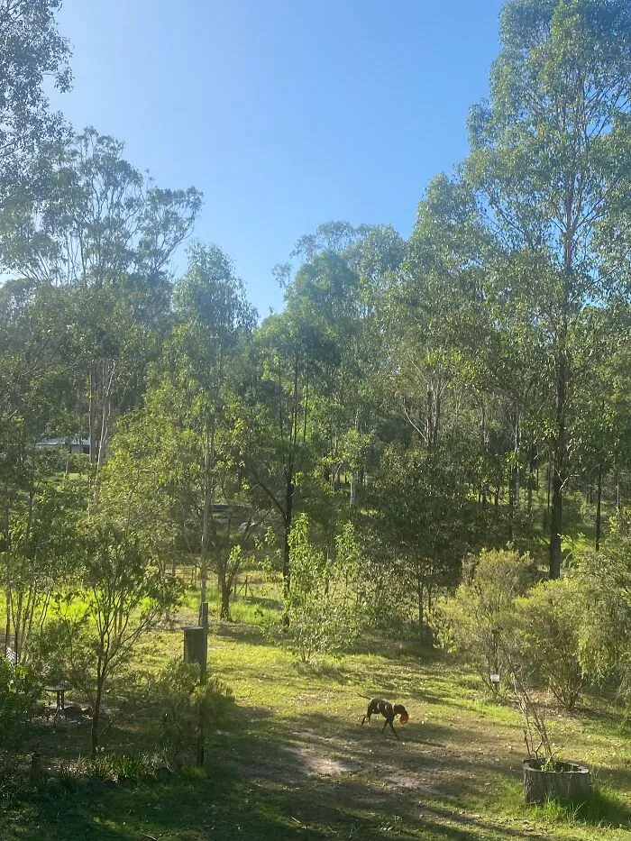 Sunny With A Nice Breeze 22c Queensland Australia