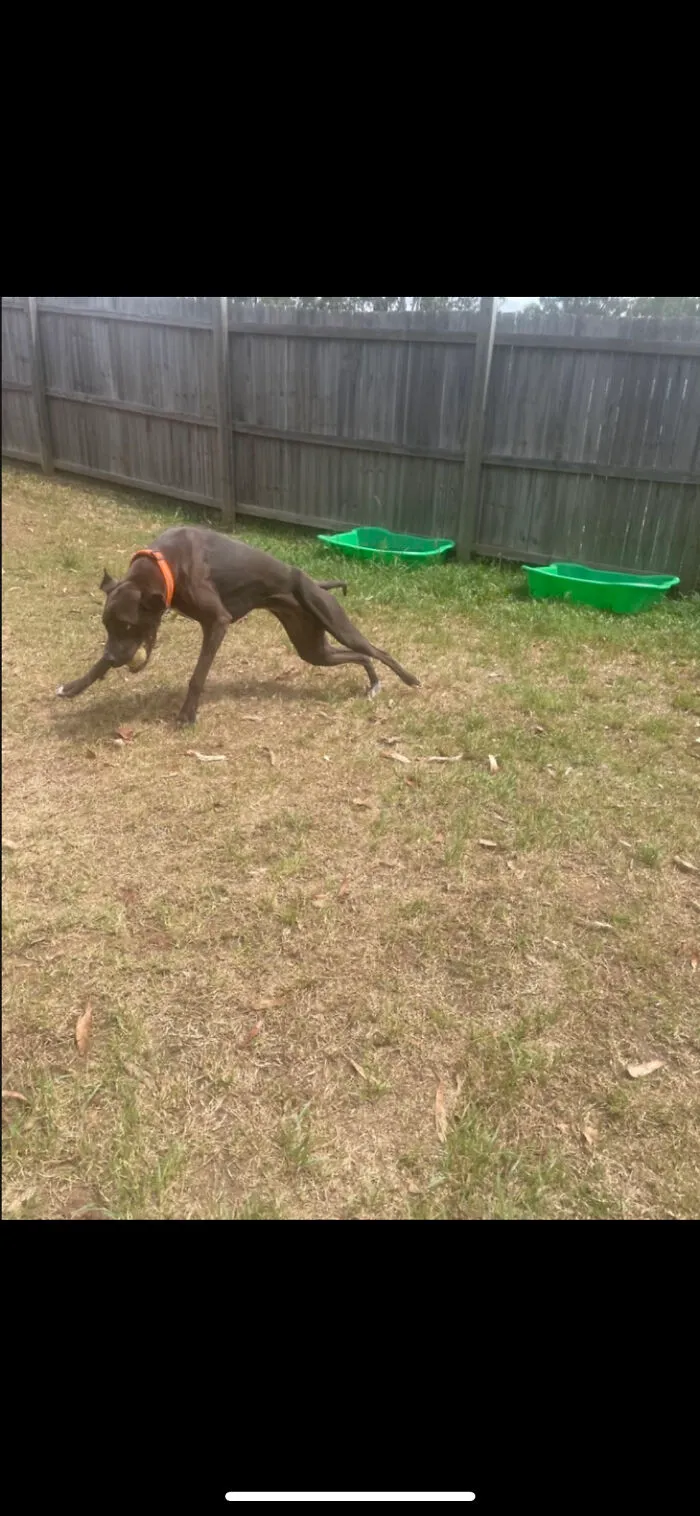 It’s Getting The Ball Back That’s The Problem