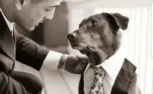 50 Times People Encountered Such Wholesome Dogs, They Just Had To Spread The Joy (New Pics)
