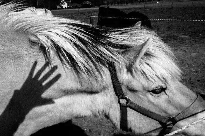 Este fotógrafo belga capta escenas divertidas y extraordinarias de la vida cotidiana (30 fotos nuevas)