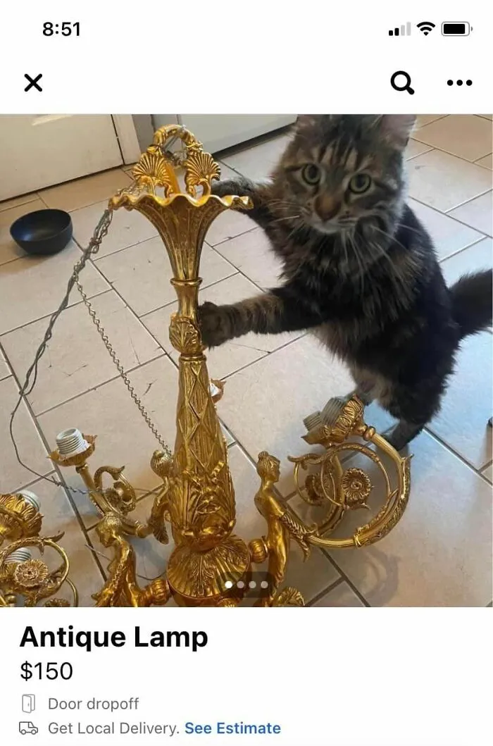 40 Gems From Facebook Marketplace That Prove Just How Much Garbage People Try To Sell You (New Pics)