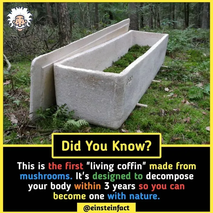 "Did You Know?": 30 Interesting Facts About The World You Probably Didn't Learn At School