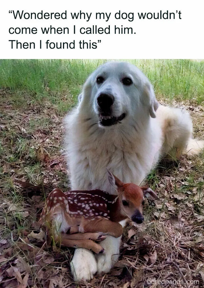 From R/Mademesmile
