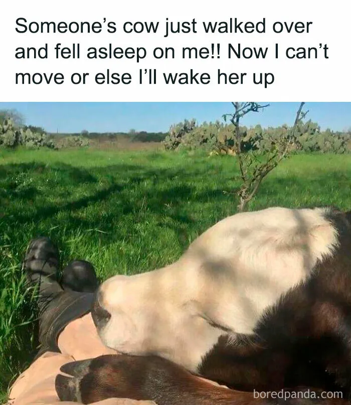 This Made My Day!